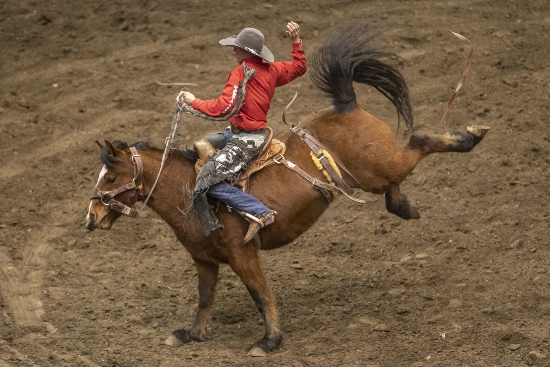 Rodeo Rapid City